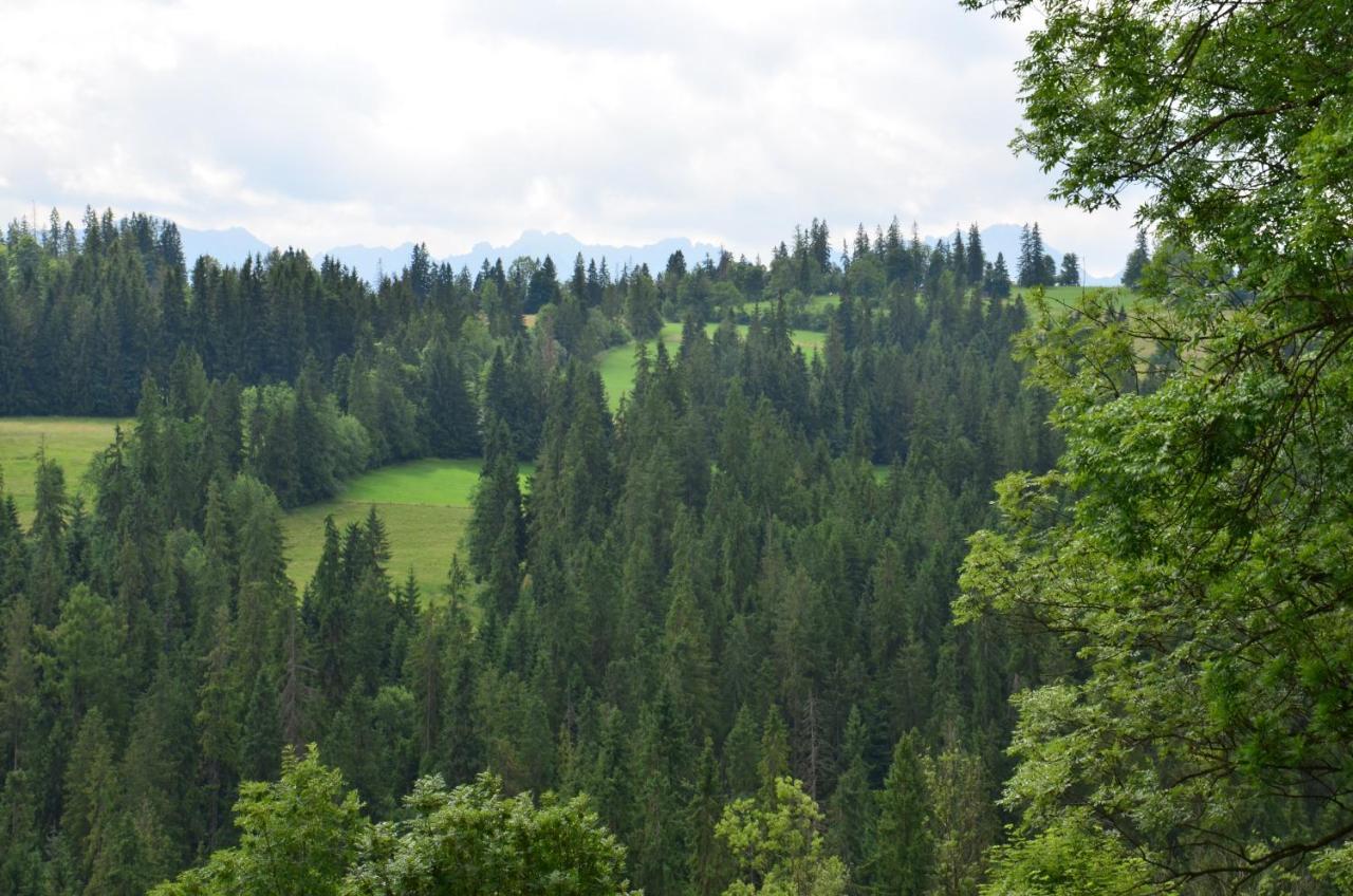 U Lassakow Poronin Exteriér fotografie