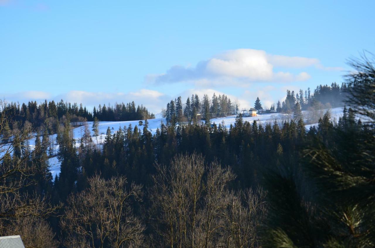 U Lassakow Poronin Exteriér fotografie